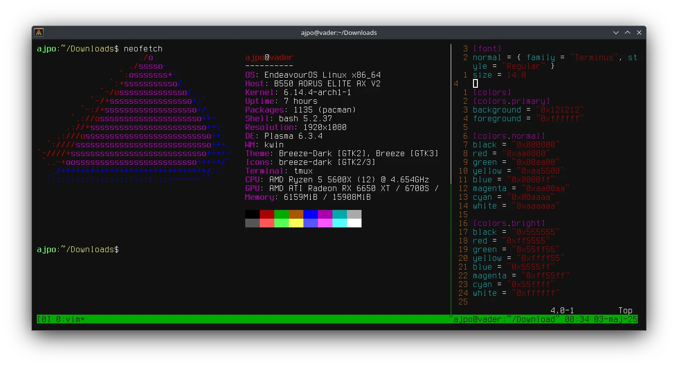 Alacritty (terminal emulator)